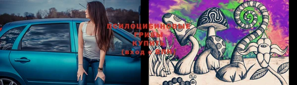 a pvp Алексеевка