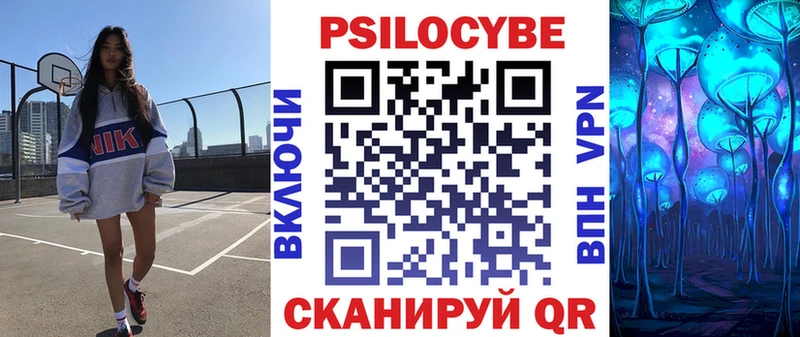 Галлюциногенные грибы Psilocybe  Чайковский 